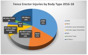 Temporary Fence Injuries by Type