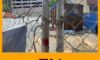 Chain link fence panels on endangered list